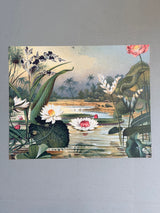 Water Plants Horizontal - Outlet