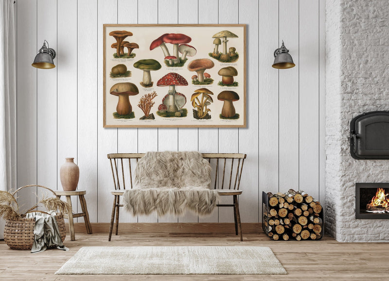 Mushrooms Horizontal