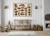 Mushrooms Horizontal - Outlet