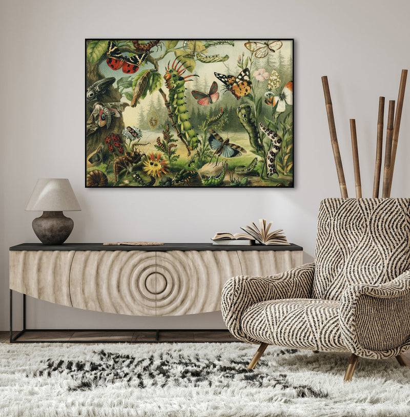 Larvae and butterflies Horizontal