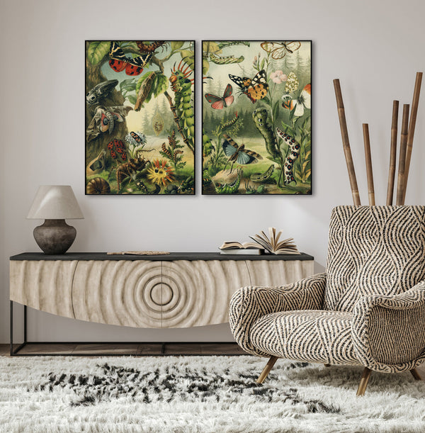 Larvae and butterflies Left Side