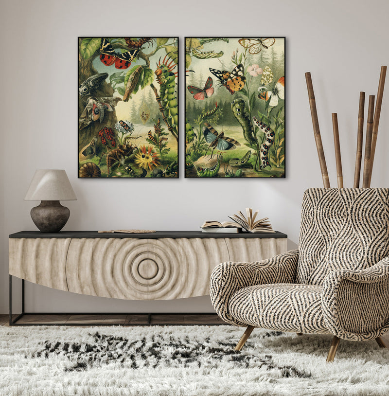 Larvae and butterflies Left Side