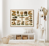 Mushrooms II Horizontal