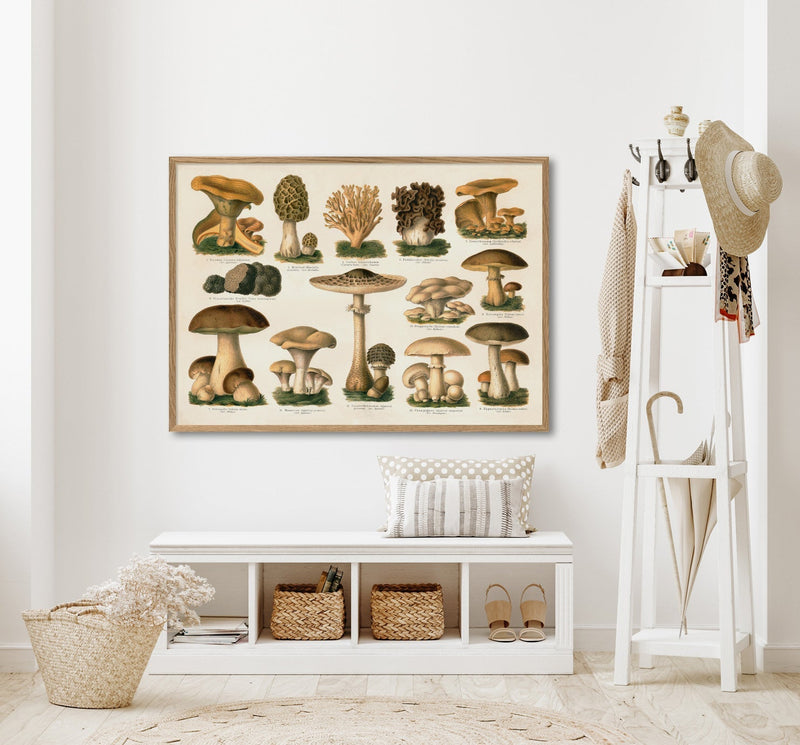 Mushrooms II Horizontal