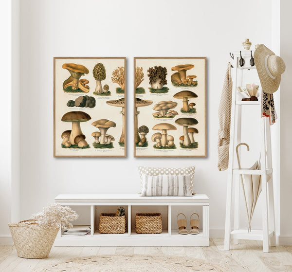 Mushrooms II Left Side