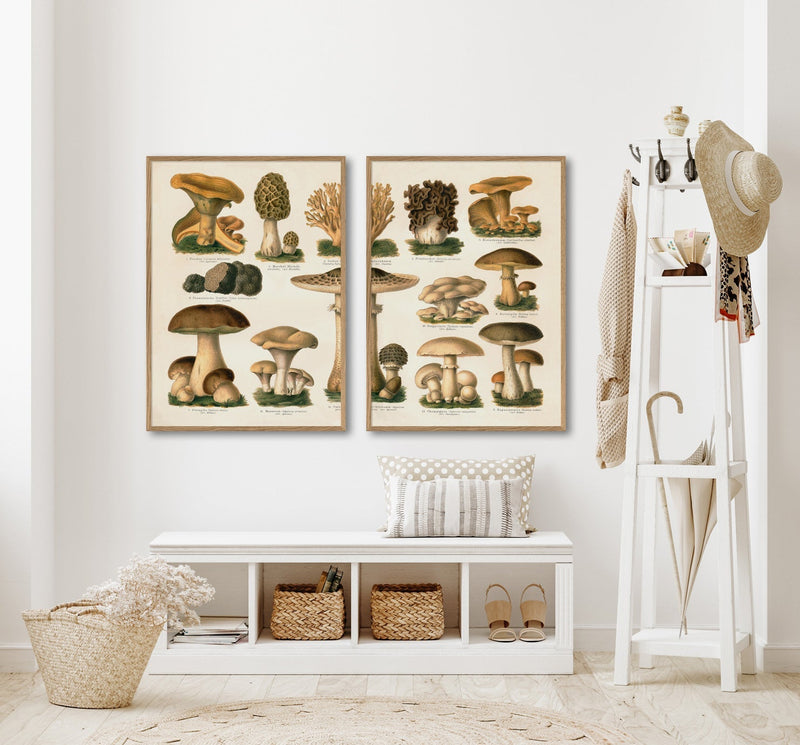 Mushrooms II Left Side