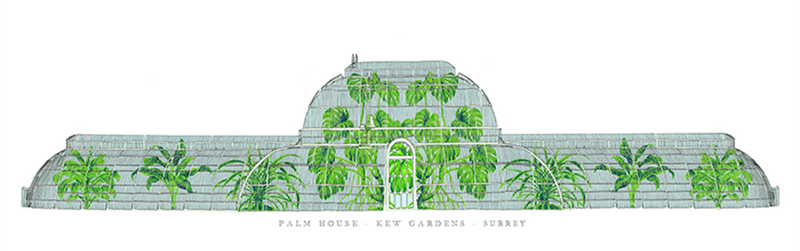 Palm House Kew