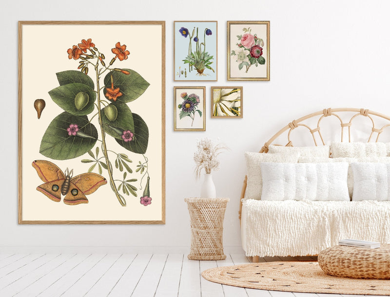 Cereus Flower. Mini Print