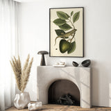 Lizard And Fruit Branch