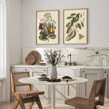 Lizard And Annona Fruit