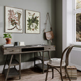 Lizard Climbing Sweet Gum Tree