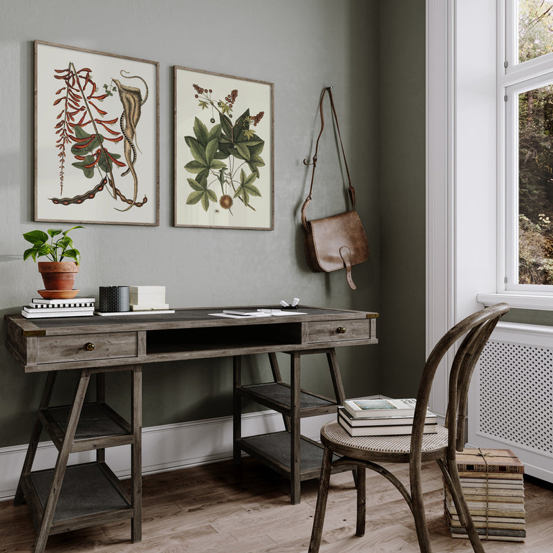 Lizard Climbing Sweet Gum Tree