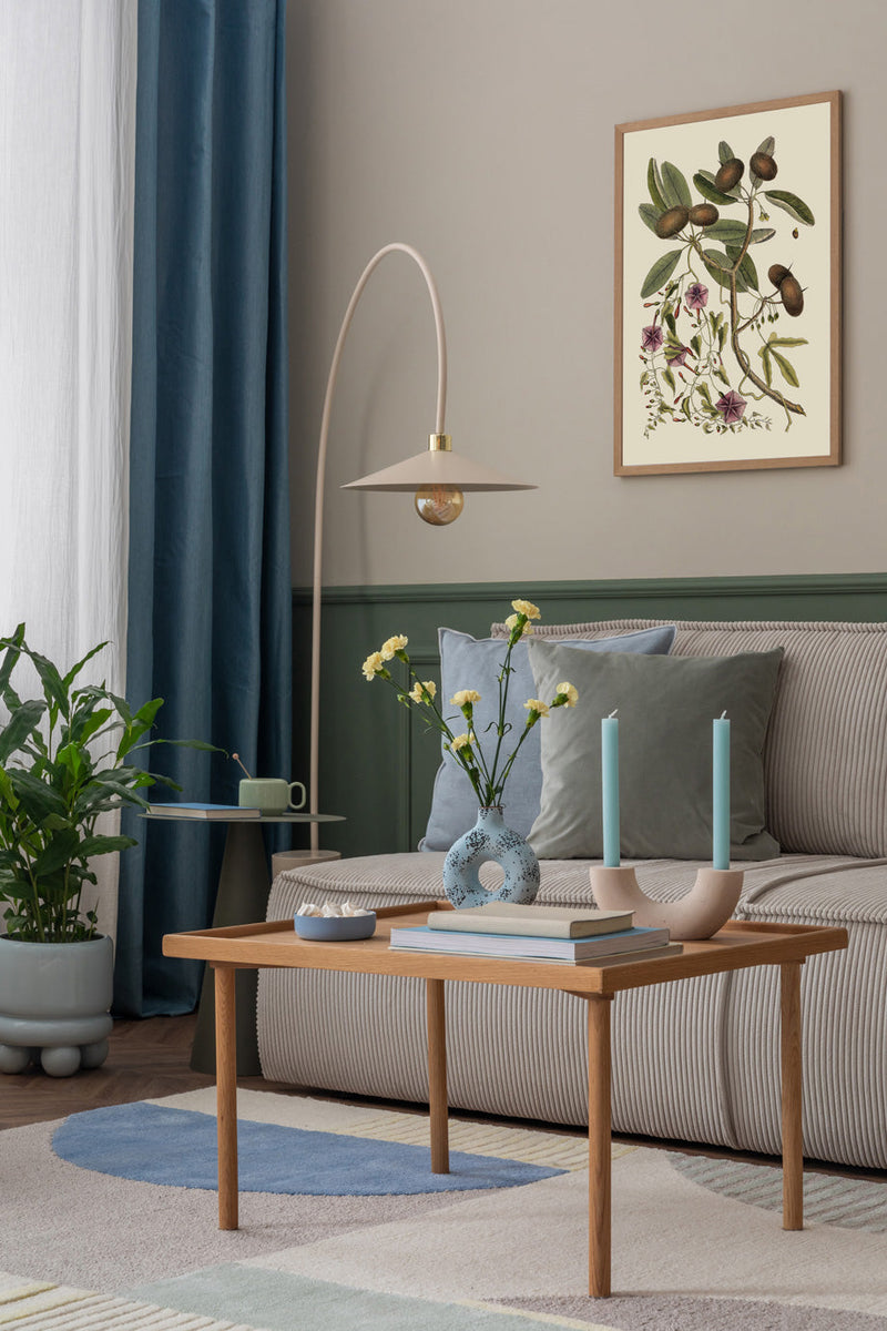 Annona And Convolvulus