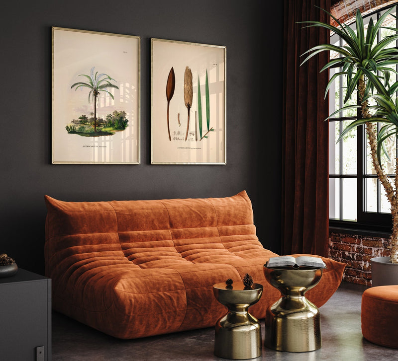 Astrocaryum Gynacanthum