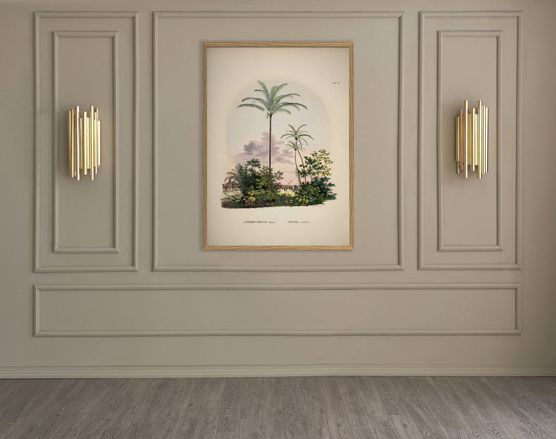 Astrocaryum Vulgare Cocos Nucifare