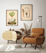 Bactris Longipos Cocos Botryophora