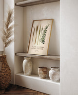 Diplothemium Campestre & Littorale