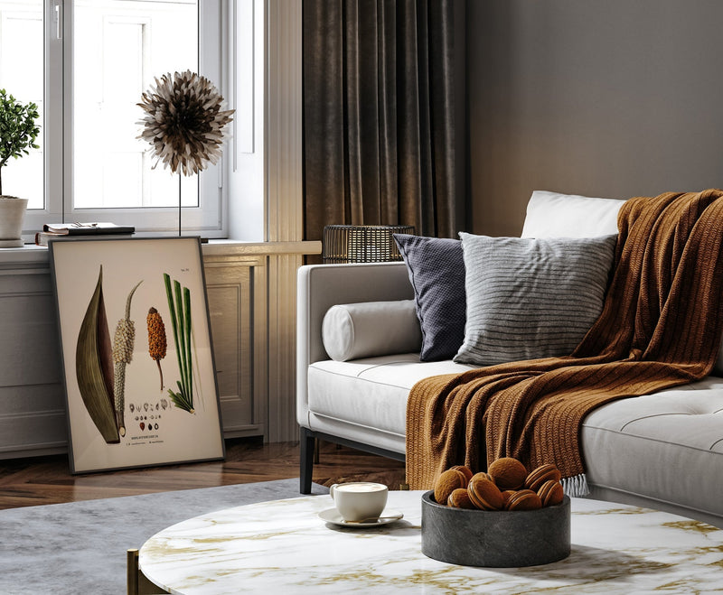 Diplothemium Caudescens & Maritimum