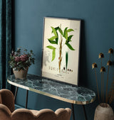 Bactris Simplicifrons & Bifida