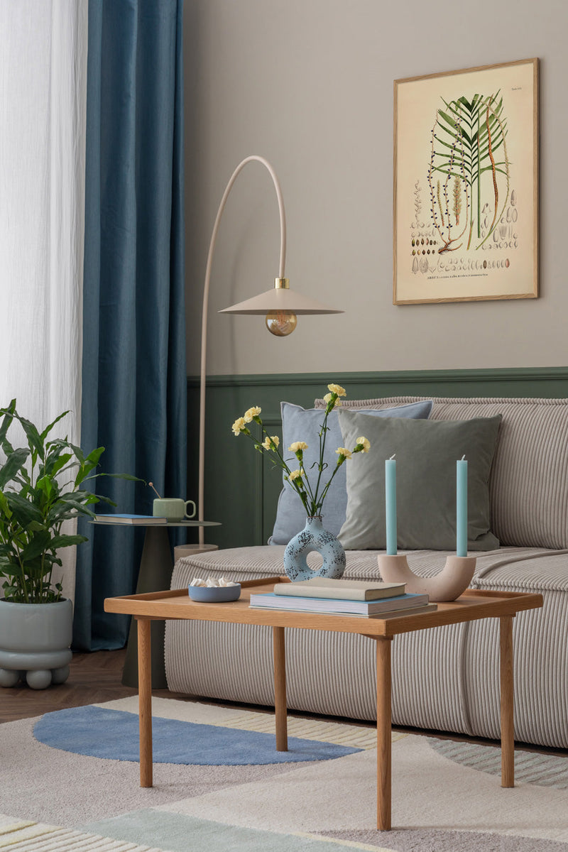 Areca Crinita Alba Rubra Monostachya