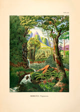 Jungle Scenery 2 - Outlet