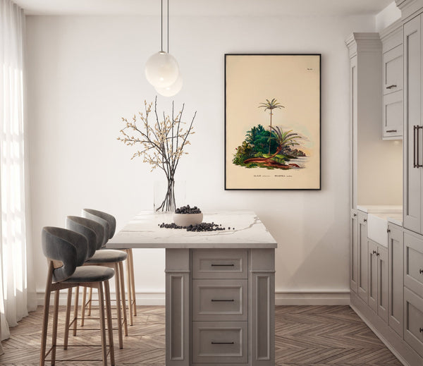 Elæis Melanoeocca Irlartea Exorrhiza