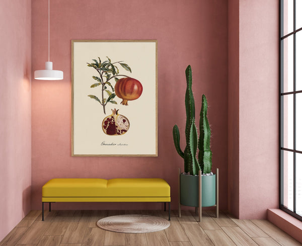 Grenadier à Fruit Doux