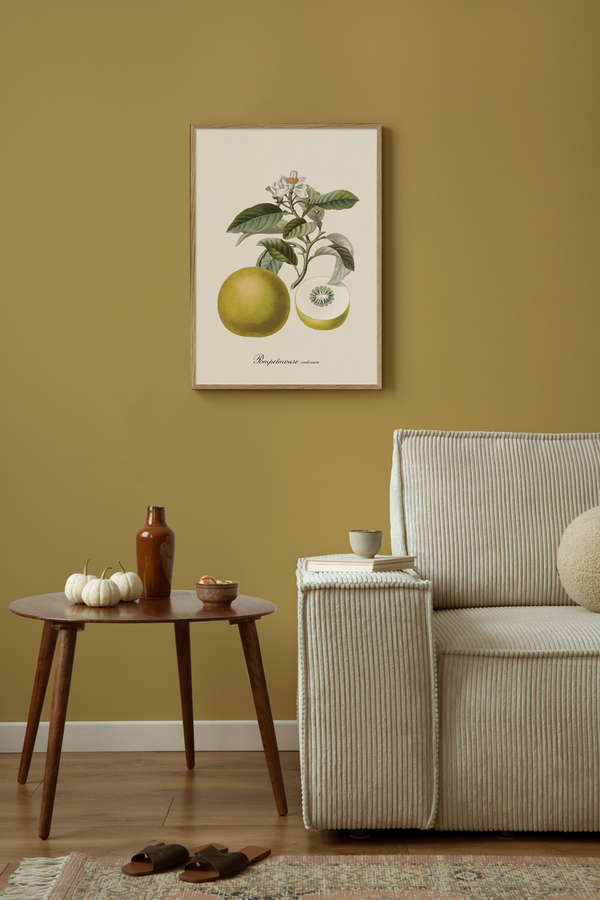 Pamplemousse Ordinaire