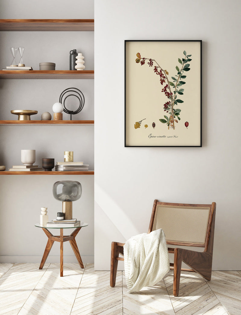 Epine-Vinette à Petit Fruit