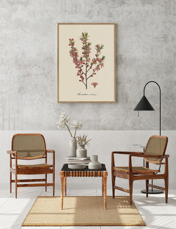 Amandier de la Georgie