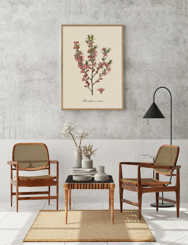 Amandier de la Georgie