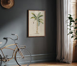 Musa Caudice Maculato