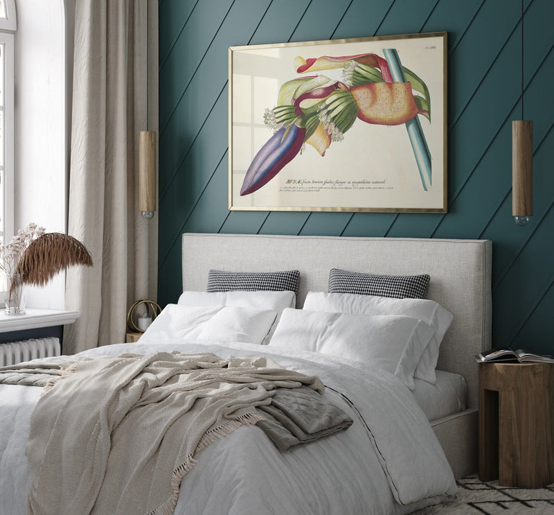 Musæ Fructu Breviore