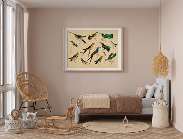 Hummingbirds