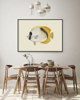 Yellow Fin - Outlet
