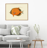Ninja Fish - Outlet