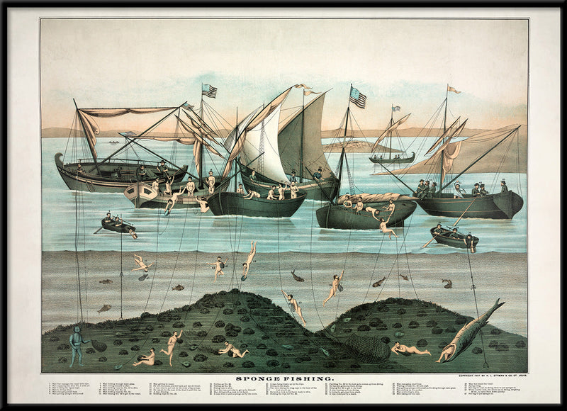 Sponge Fishing