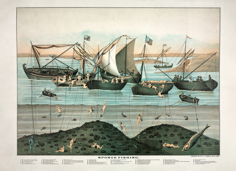 Sponge Fishing