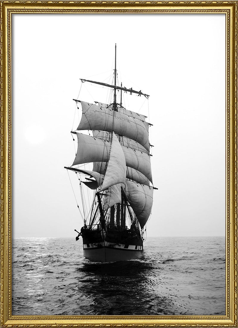 County of Roxburgh Merchant Ship