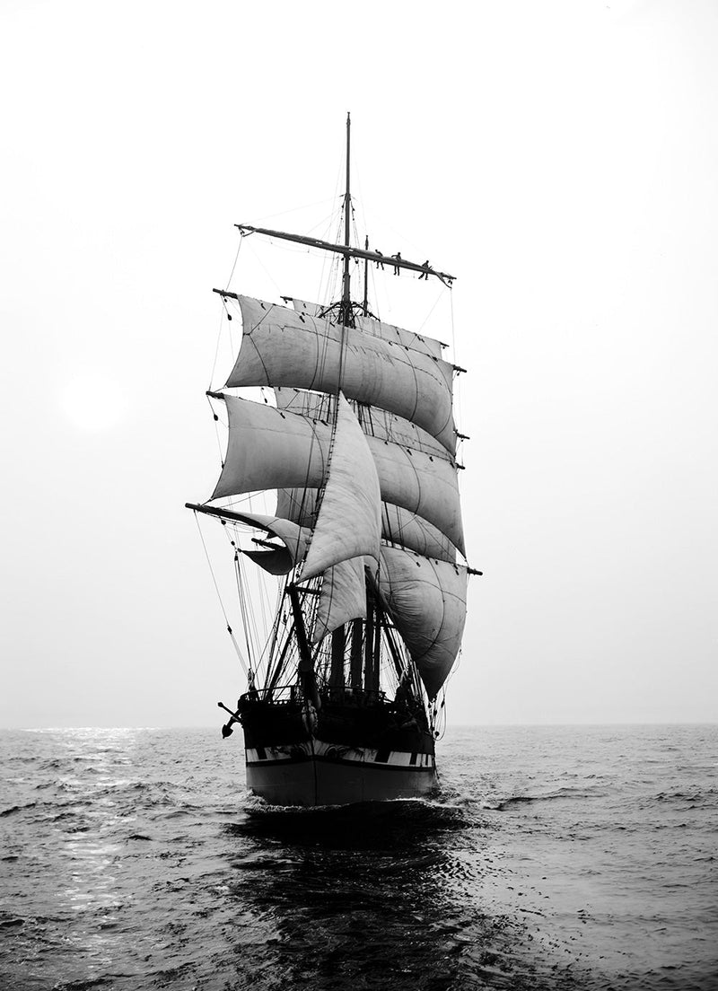 County of Roxburgh Merchant Ship