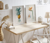 Strelitzia Regina no 2