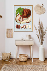 Hodgsonia Heteroclita II