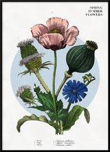 Spring Summer Flowers.