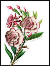 Le Laurier Couronné