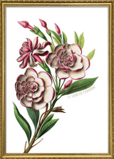 Le Laurier Couronné