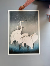 Snowy Herons - Outlet