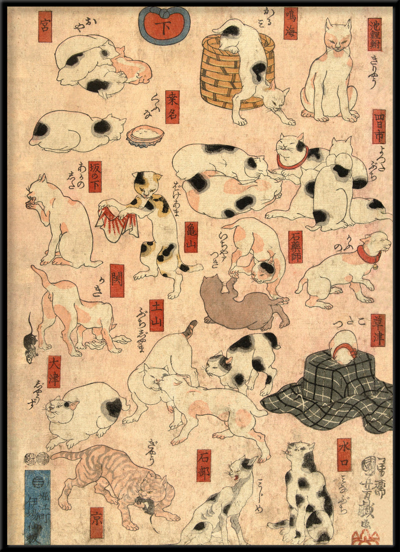 Japanese Station Cats