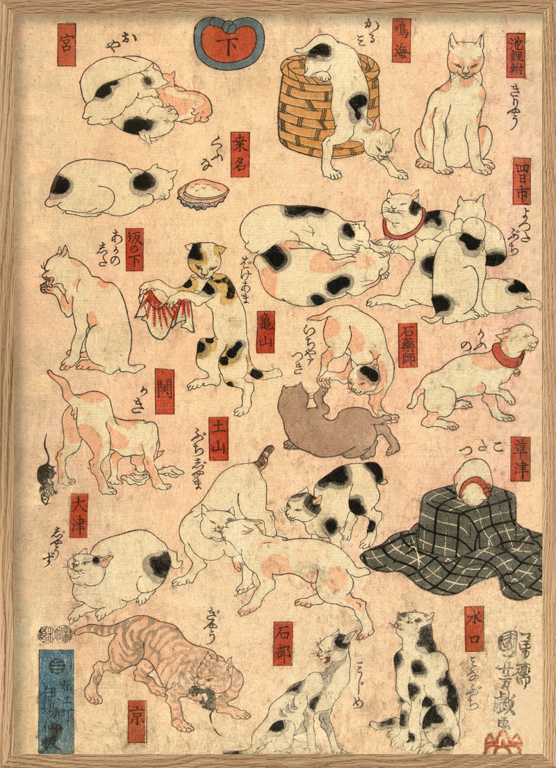 Japanese Station Cats