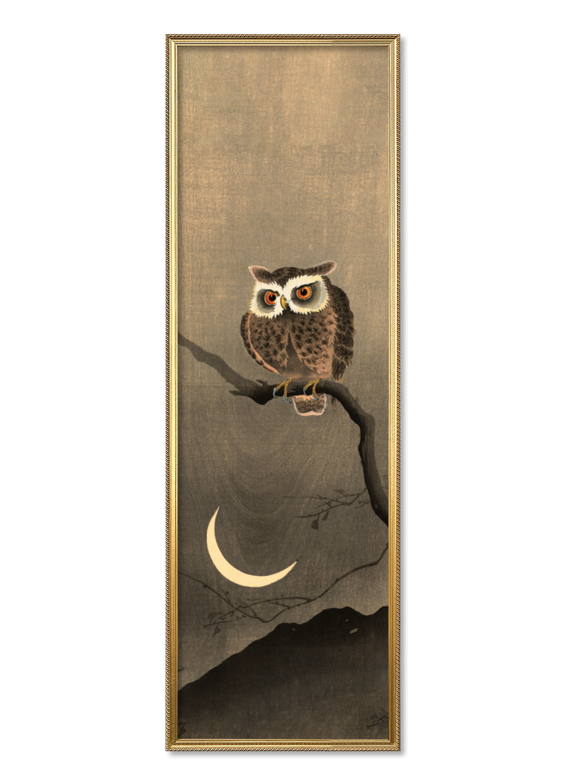 Japanese Owl