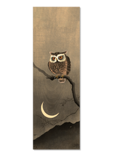 Japanese Owl